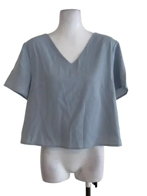 Blue V Neck Plain Top