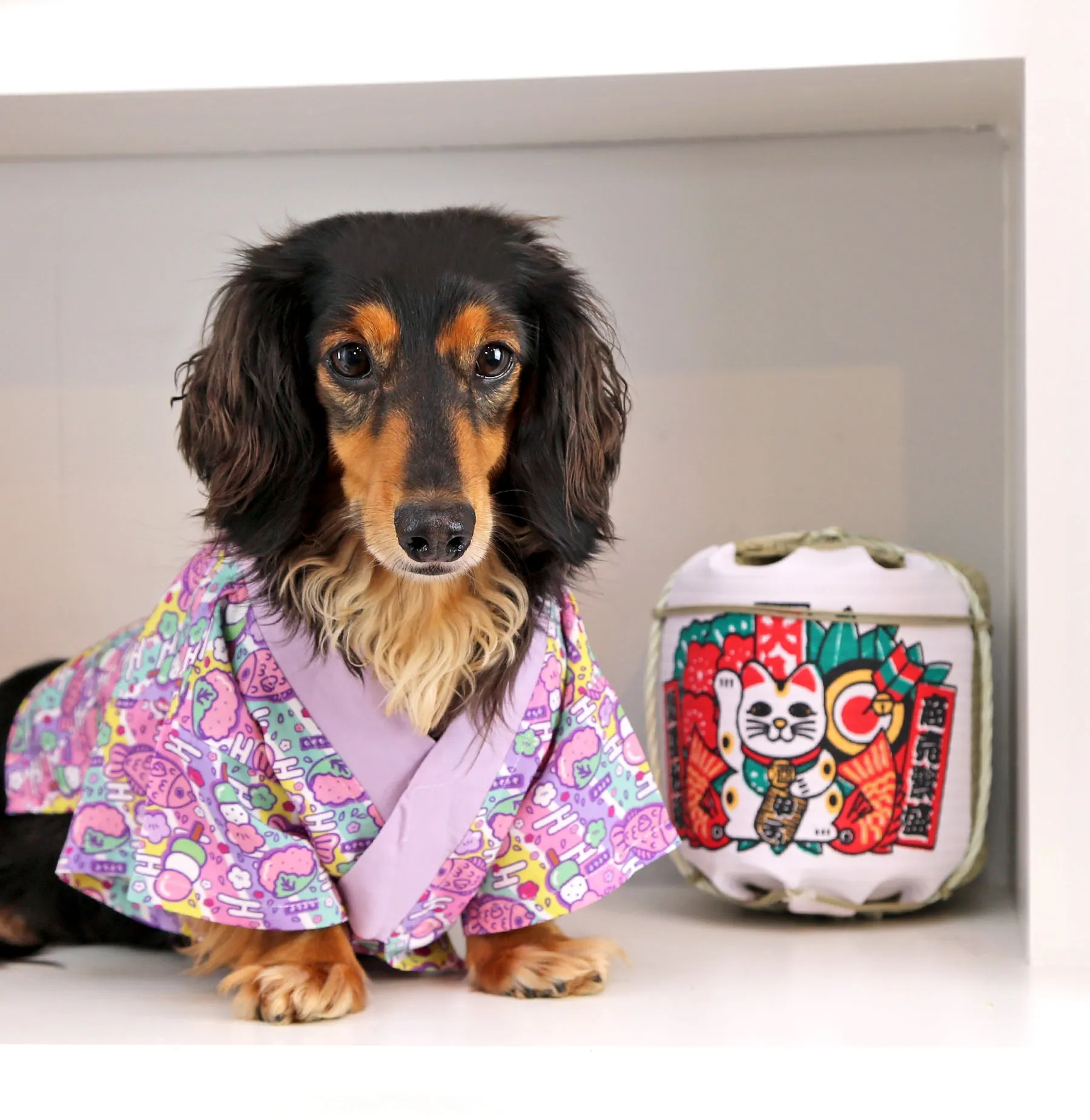 Hanami Yukata-kimono ✦VERY RARE✦