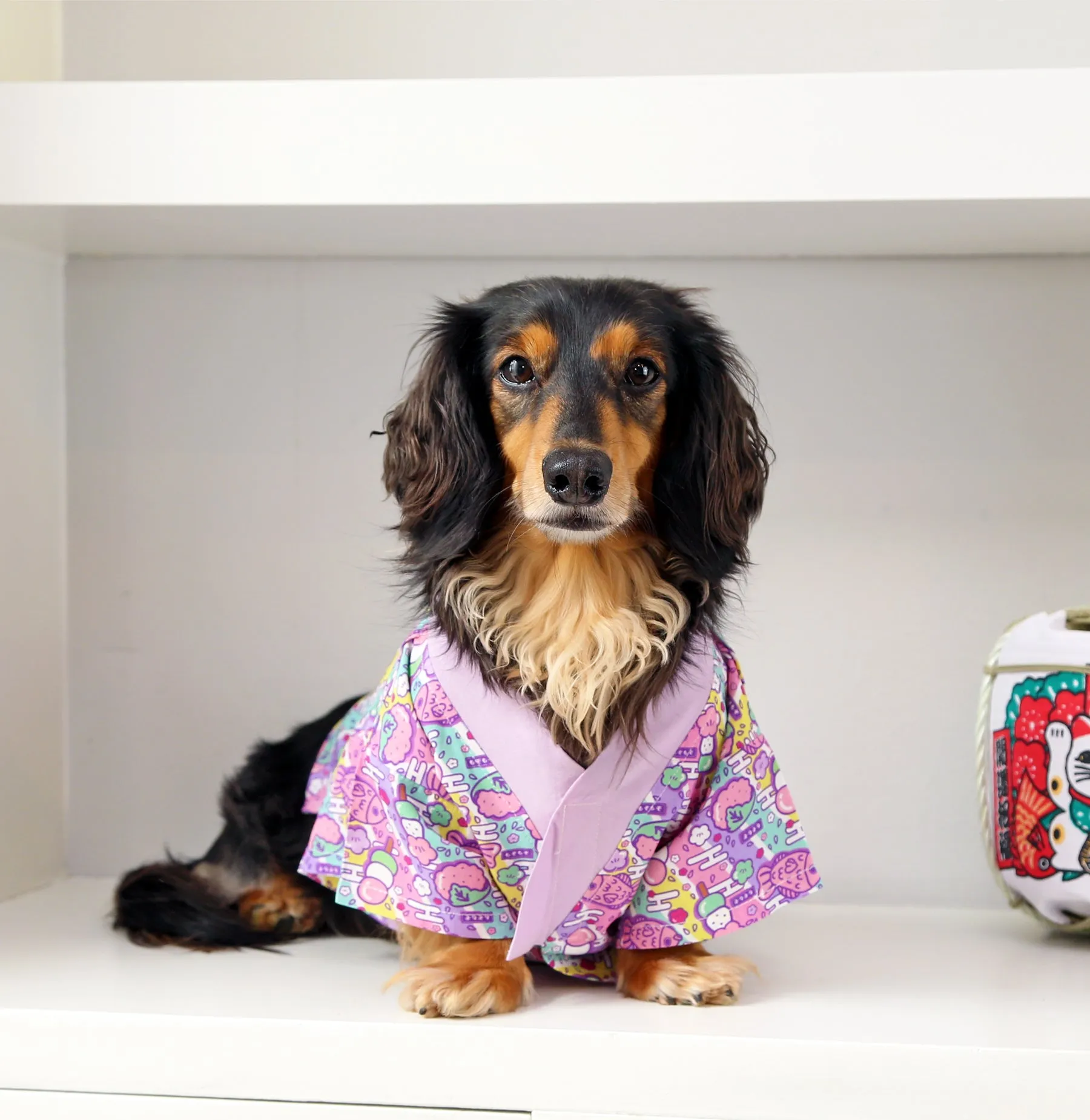 Hanami Yukata-kimono ✦VERY RARE✦