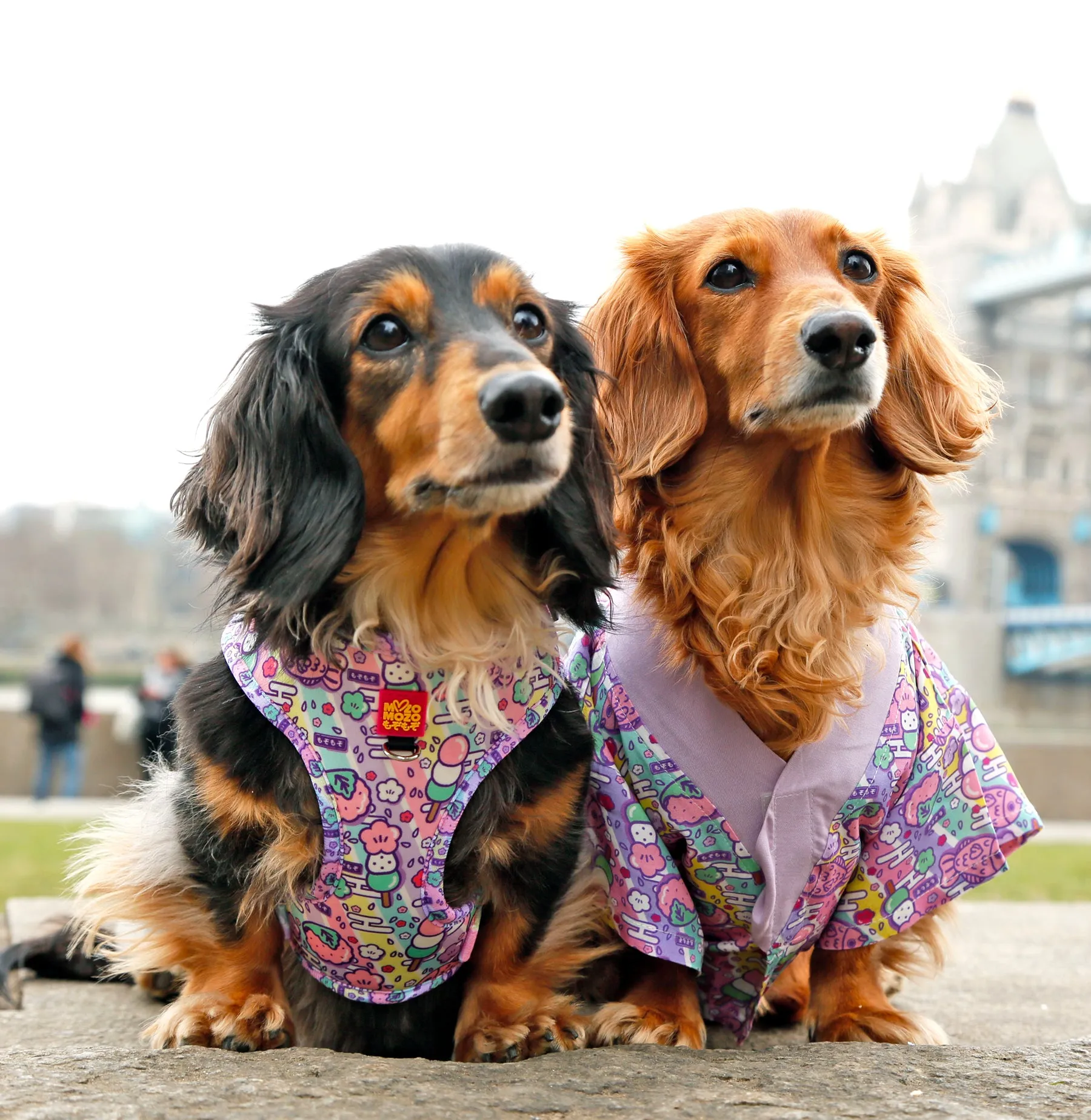 Hanami Yukata-kimono ✦VERY RARE✦