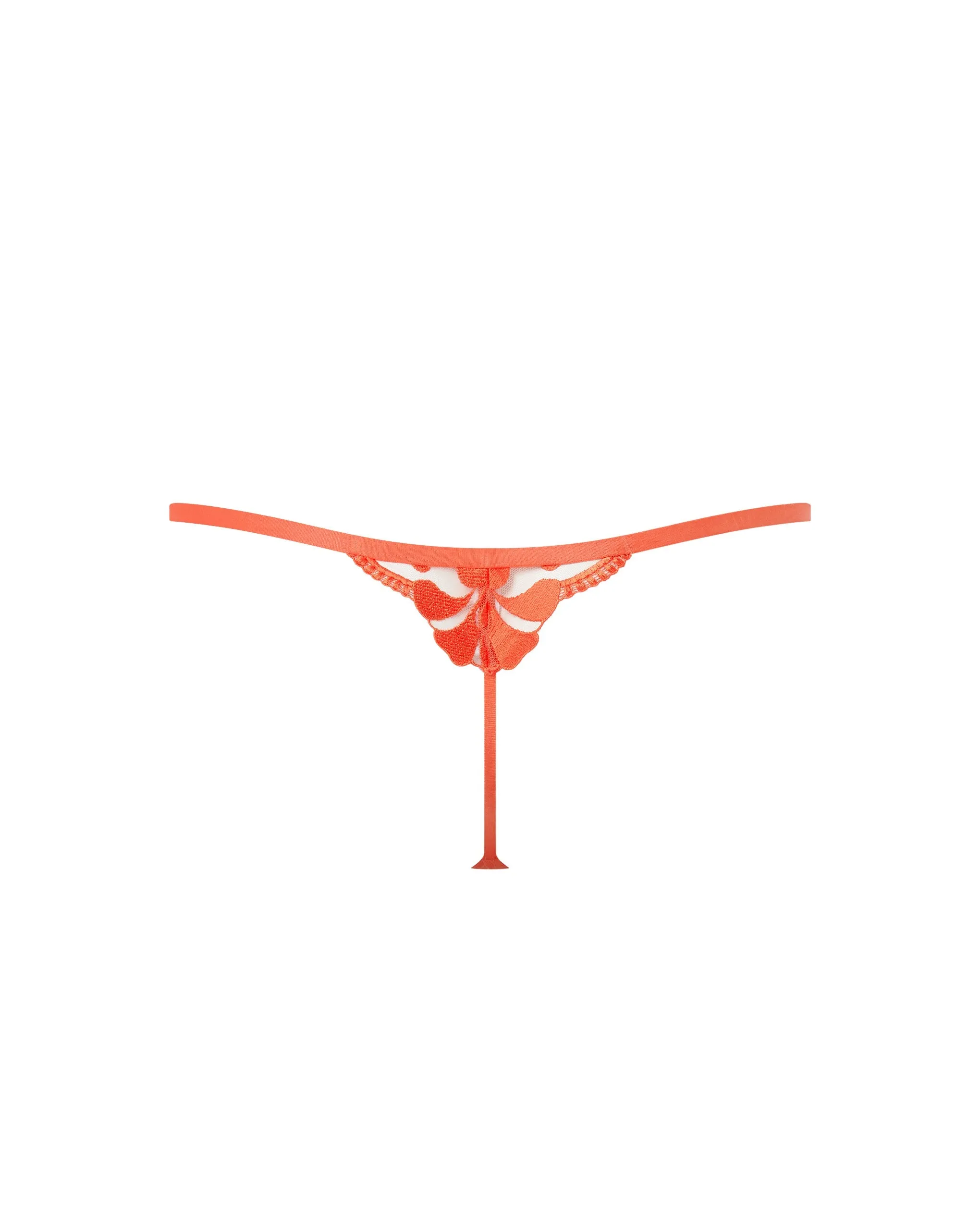 Leonora Thong Hot Coral/Sheer