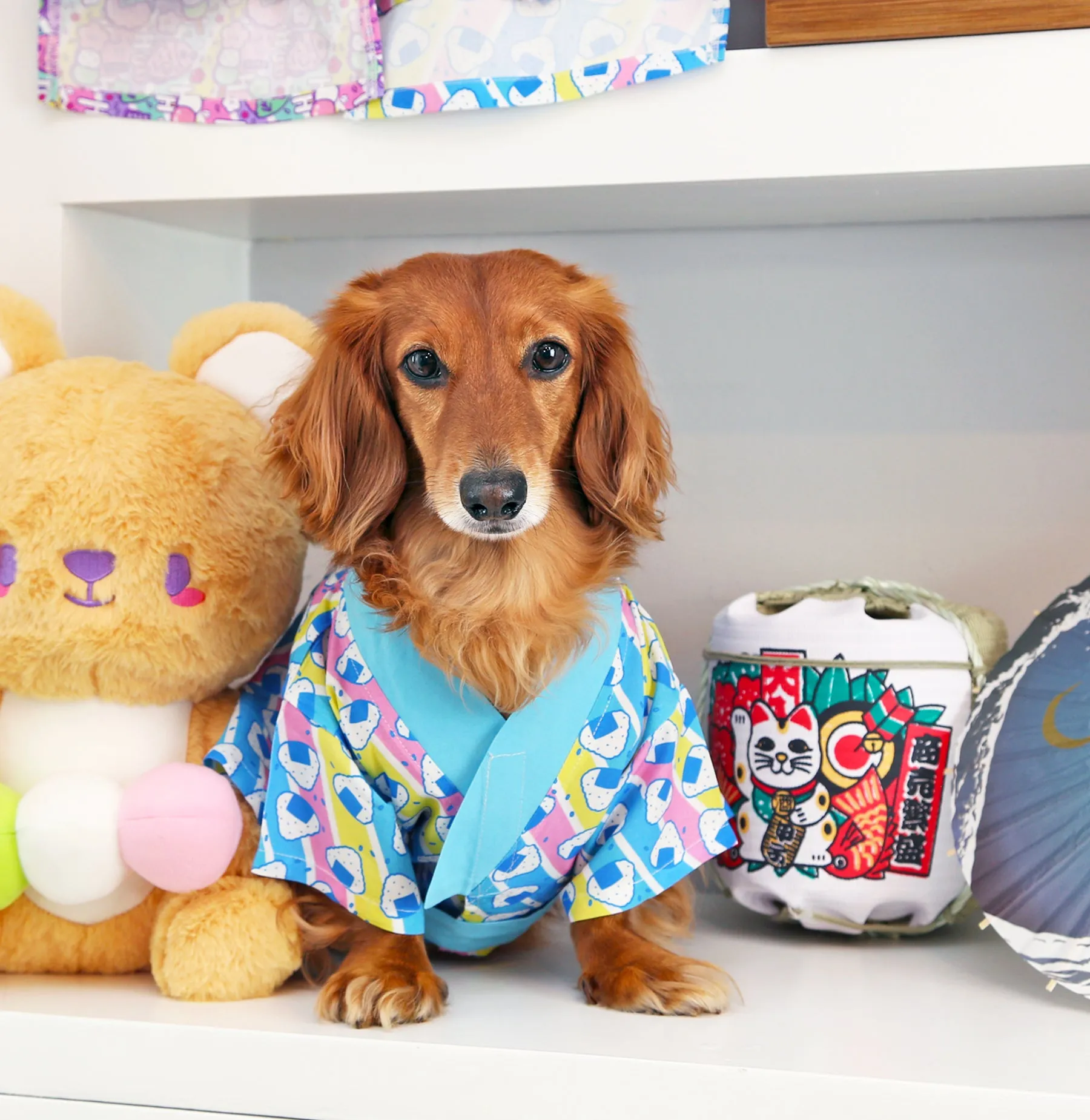 Onigiri Yukata-kimono ✦VERY RARE✦