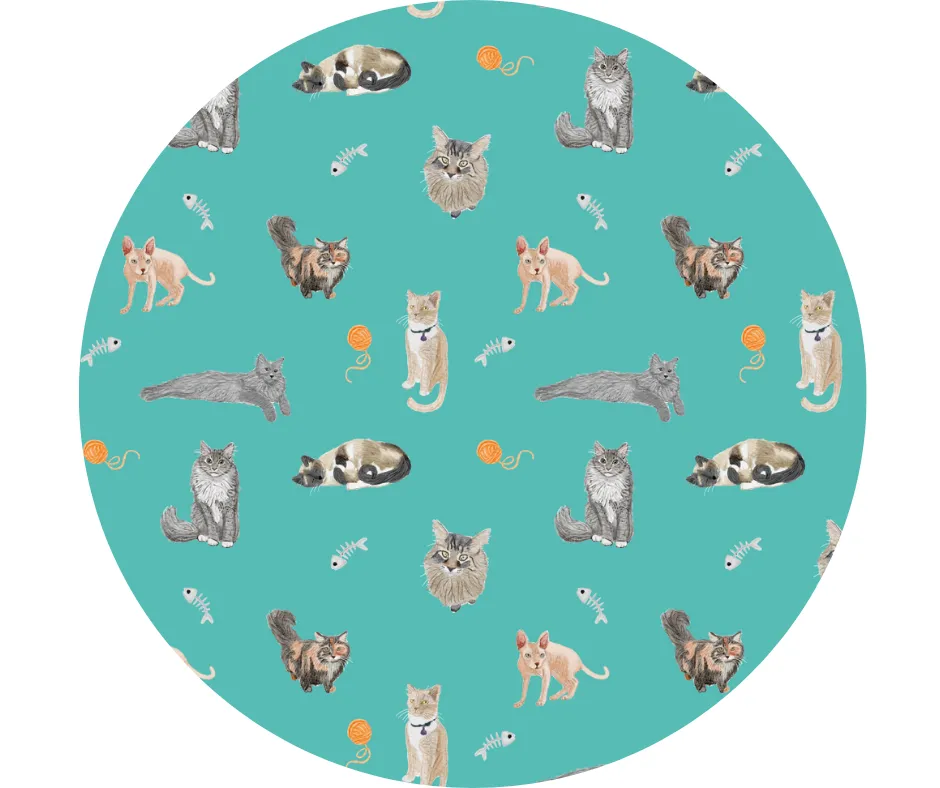 Purr-fectly Cozy Adult Loungers