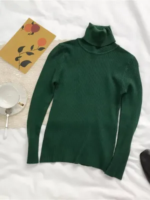 Turtleneck Slim Soft Knit Sweater