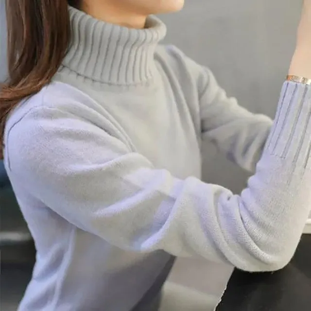 Turtleneck Thick Knitted Sweaters