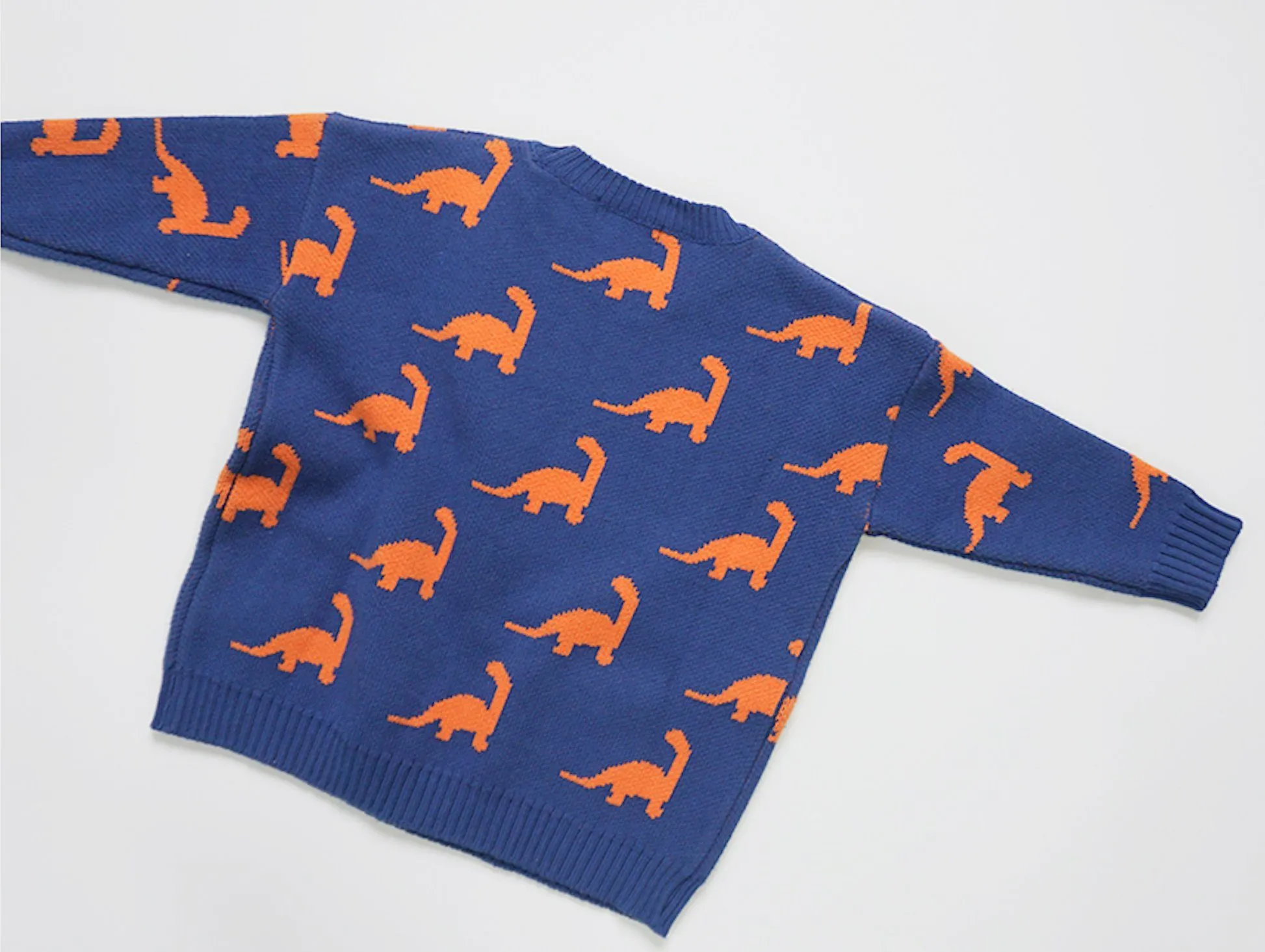 Unisex Dinosaur Sweater