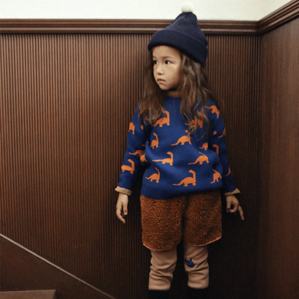 Unisex Dinosaur Sweater